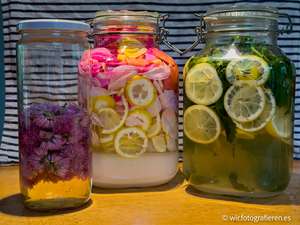 Drei Einmachgläser mit eingelegten Blüten und Zitronenscheiben, links lila Schnittlauchblüten, Mitte Rosenblätter mit Zitrone, rechts Zitronenscheiben mit Kräutern, selbstgemachte Ansätze auf Holztisch