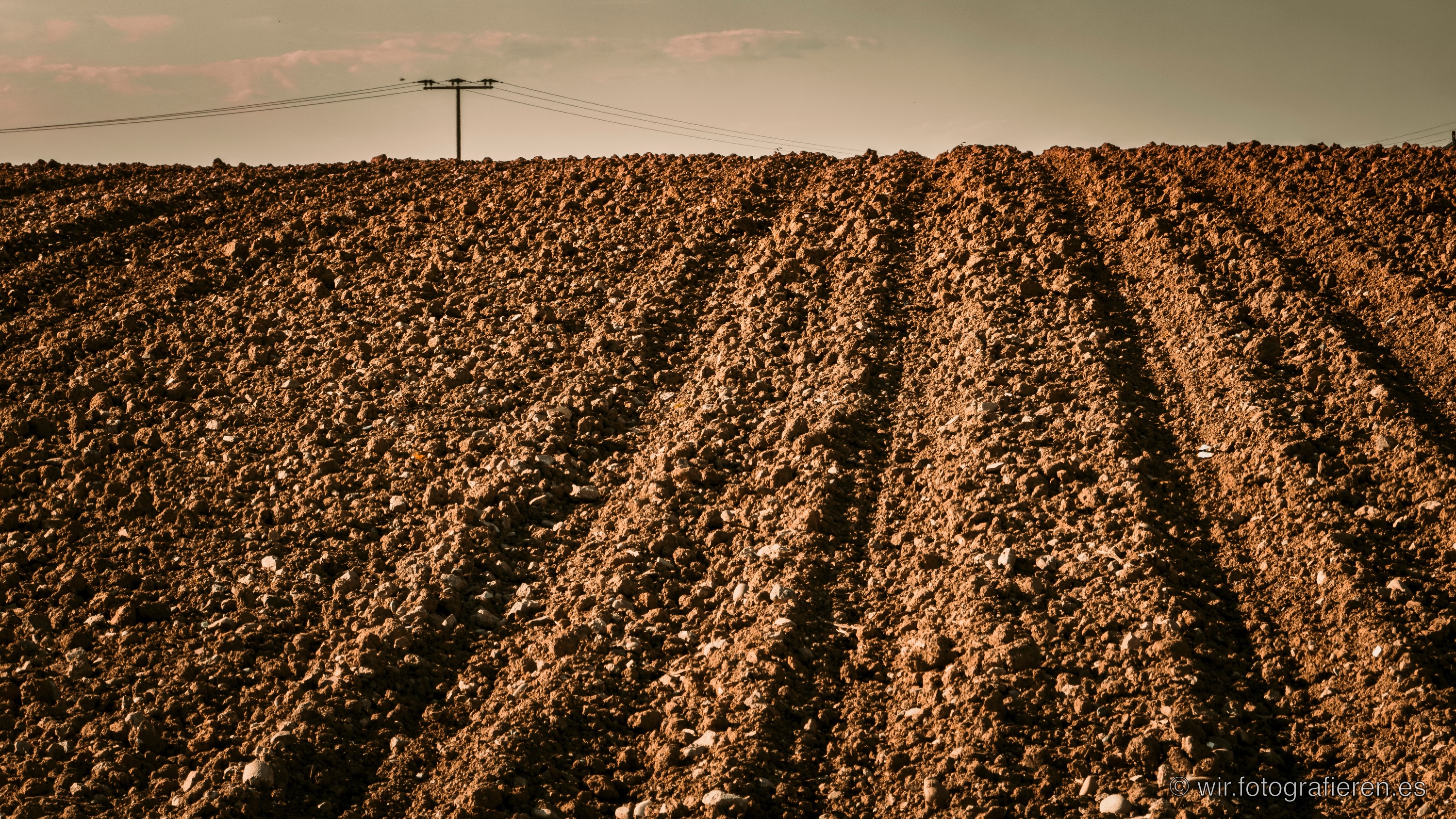 Frisch gepflügtes Feld mit tiefen Furchen im warmen Abendlicht, steinige Erde in Rotbraun, einsamer Strommast am Horizont, karges Landschaftsbild